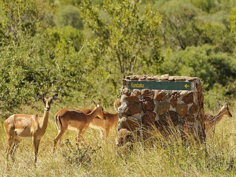 Kambaku River Sands Hotel Hoedspruit Eksteriør billede